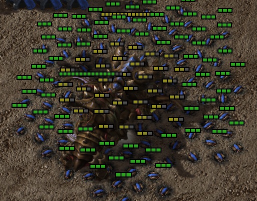 [image loading]